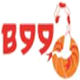 贝尔纳雷焦99logo