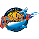 四川金强U19logo